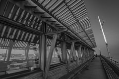 DSC_0328_bw