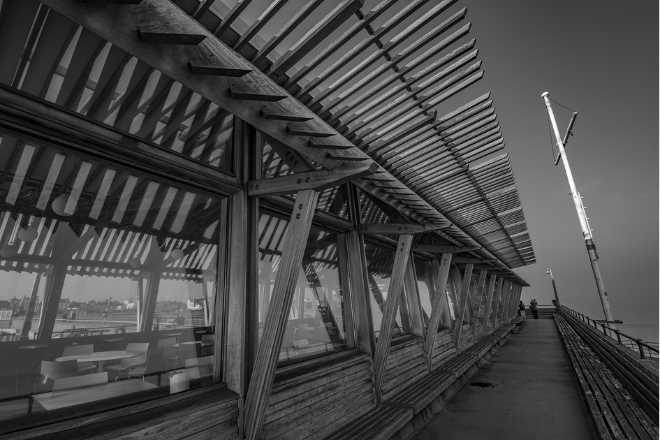 DSC_0328_bw