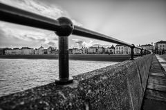 DSC_268bw