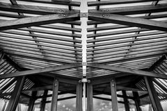 DSC_2763bw