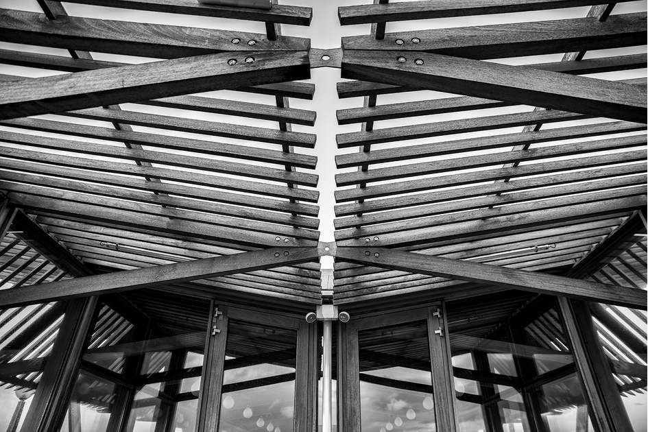 DSC_2763bw