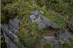 DSC_0431