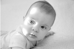 DSC_3199bw