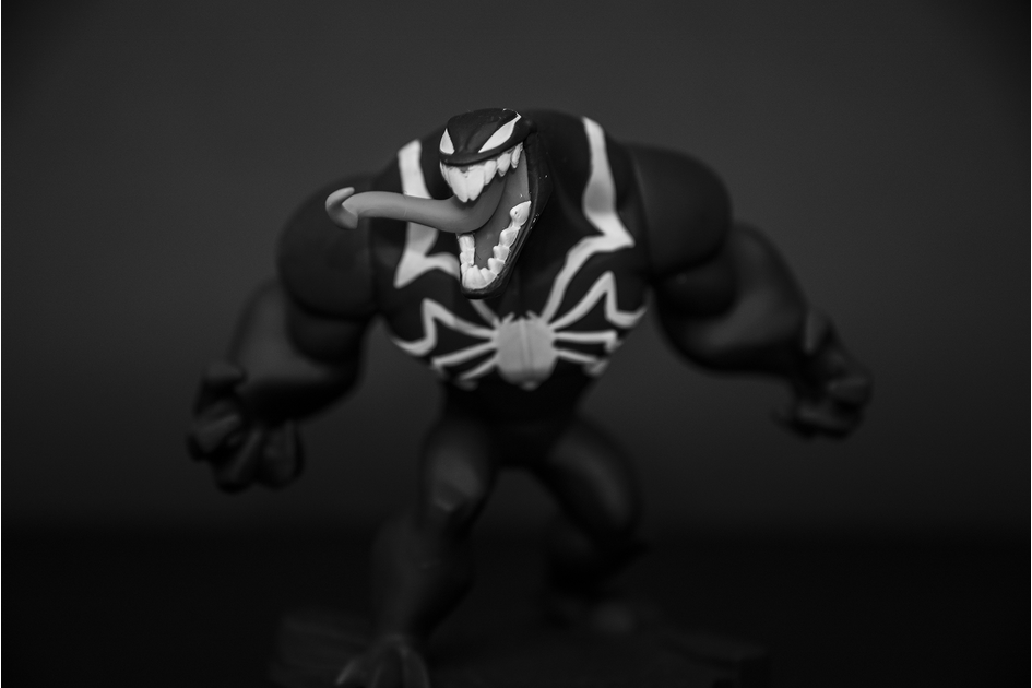 DSC_7690